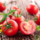 Graines de tomate naine Maja pour balcon et pot
