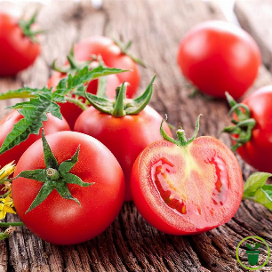 Graines de tomate naine Maja pour balcon et pot