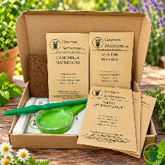 Sélection pour tisanes - kit de 5 variétés prêt à semer