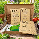 Légumes originaux - Kit de 9 variétés goûteuses et colorées prêt à semer 