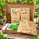 Plantes compagnes au potager - Kit de 8 variétés protectrices prêt à semer 
