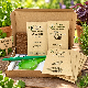 Plantes aromatiques et condimentaires – Pack de 8 variétés