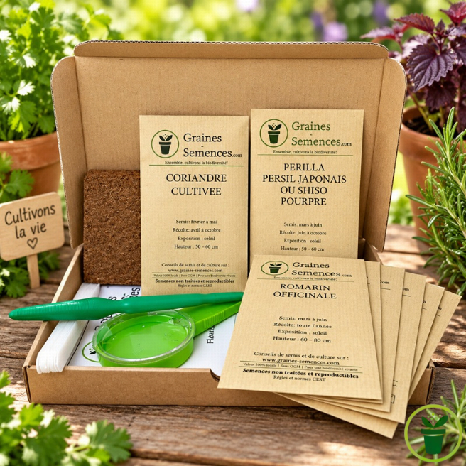 Plantes aromatiques et condimentaires – Pack de 8 variétés