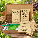 Plantes aromatiques et condimentaires – Kit de 8 variétés prêt à semer