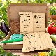 Légumes du soleil  - Kit de 7 variétés de légumes et d'aromates
