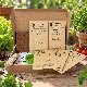 Légumes indispensables à semer en été – Kit de 5 variétés prêt à semer