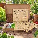 Légumes indispensables à semer en été – Kit de 5 variétés prêt à semer