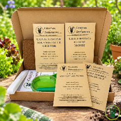 Laitues pommées - Laitues à couper. Kit de 5 variétés prêt à semer