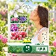 Mélange de bulbes à fleurs parfumées – 35 bulbes