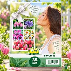 Mélange de bulbes à fleurs parfumées – 35 bulbes