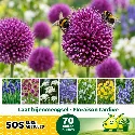 Mélange de bulbes SOS Abeilles à floraison tardive – 70 bulbes