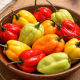 Graines de piment Habanero mélange de couleurs varié à semer
