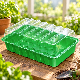Mini serre semis bouturage Charles