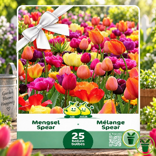 Tulipes en mélange de couleurs – 25 bulbes