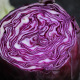 Chou cabus rouge Tête Noire à pomme rouge foncé prête pour l'automne