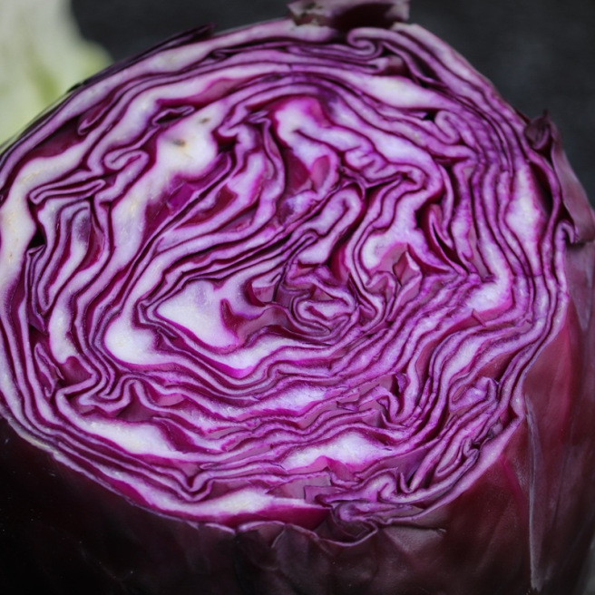 Chou cabus rouge Tête Noire à pomme rouge foncé prête pour l'automne