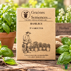 Basilics - packs de 5 sachets de graines
