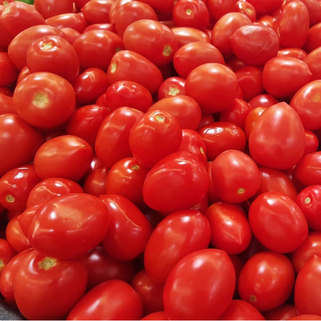 Graines de Tomate Roma VF, tomates allongées rouges résistantes au mildiou