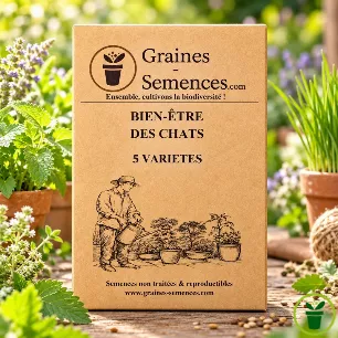 Pack de graines bien-être pour chats avec 5 variétés de plantes à semer en pot ou au jardin