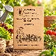 Pack de graines de légumes anciens ou oubliés – 8 variétés potagères à semer au jardin