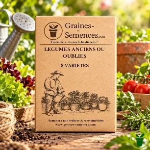 Pack de graines de légumes anciens ou oubliés – 8 variétés potagères à semer au jardin