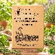 Plantes aromatiques et condimentaires – Pack de 8 variétés