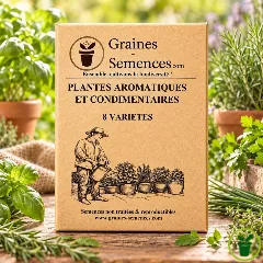 Plantes aromatiques et condimentaires – Pack de 8 variétés