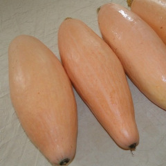 Courge Jumbo Pink Banana : gros fruit allongé rose pâle, chair orange sucrée
