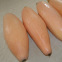 Courge Jumbo Pink Banana : gros fruit allongé rose pâle, chair orange sucrée