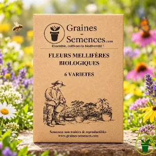 Fleurs Mellifères BIO– pack de 6 variétés