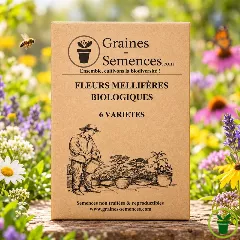 Graines de Fleurs Mellifères BIO - pack de 6 variétés