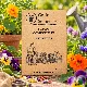 Fleurs comestibles – pack de 5 variétés