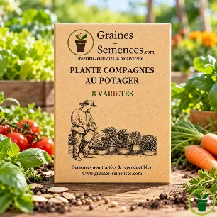 Plantes compagnes au potager - 8 variétés indispensables