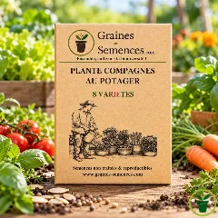 Plantes compagnes au potager - Pack de 8 variétés indispensables