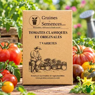 Tomates classiques et originales - Pack de 5 sachets de graines