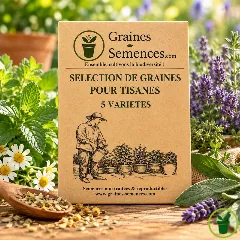 Sélection de graines pour tisanes – Pack de 5 variétés 