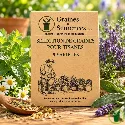 Sélection de graines pour tisanes – Pack de 5 variétés 