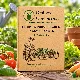 Légumes indispensables à semer en été - pack de 5 variétés