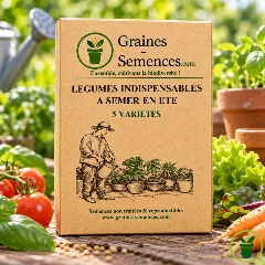 Légumes indispensables à semer en été - pack de 5 variétés