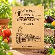 Légumes du soleil  - Pack de 7 variétés de légumes et d'aromates