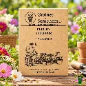 Fleurs à couper – pack de 6 variétés