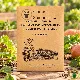 Légumes indispensables à semer en automne - pack de 5 variétés