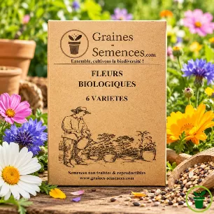 Fleurs BIO– pack de 6 variétés