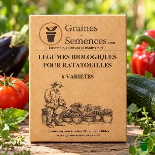 Graines de légumes BIO pour ratatouilles – pack de 6 variétés
