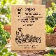 Graines de légumes d’hiver BIO  – pack de 6 variétés