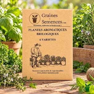 Plantes aromatiques BIO – pack de 6 variétés