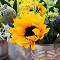 Fleurs à couper