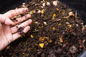 Composter ses déchets : bon pour le sol, bon pour le climat - Nièvre