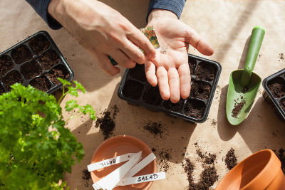 Astuce pour bien semer des graines très fines