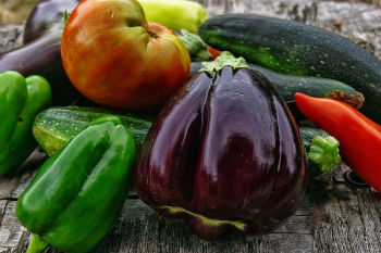 Achat de graines pour semer et récolter des légumes en août